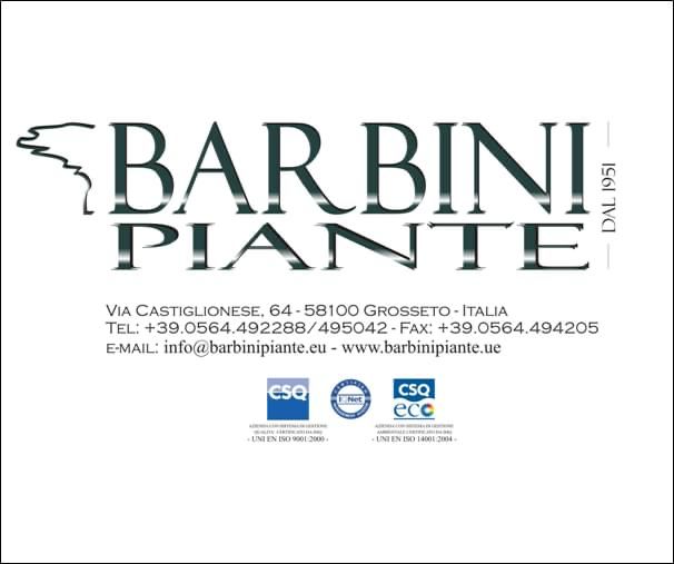 Barbini Piante